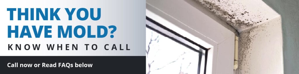 Mold FAQ
