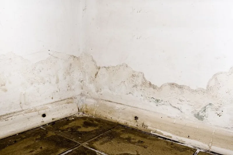 Knott's Property Restoration - an example of needed mold remediation in wall and floor areas of interior building home in Clarksville, Tennessee