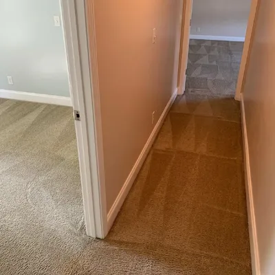 Knott's Property Restoration carpet cleaning example of beautiful clean carpets in Clarksville, TN home residence interior floor.